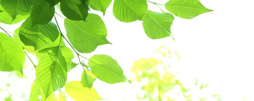 }JDX ₩H[ }JfbNX̔TCg